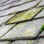 Find Moss Cleaning company in Ascot